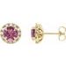 14K Yellow 4 mm Natural Pink Tourmaline & 1/5 CTW Natural Diamond Halo-Style Earrings