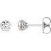 14K White 3/8 CTW Natural Diamond Celtic-Inspired Earrings