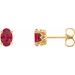 14K Yellow Lab-Grown Ruby Earrings