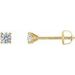 14K Yellow 1/4 CTW Natural Diamond Cocktail-Style Earrings