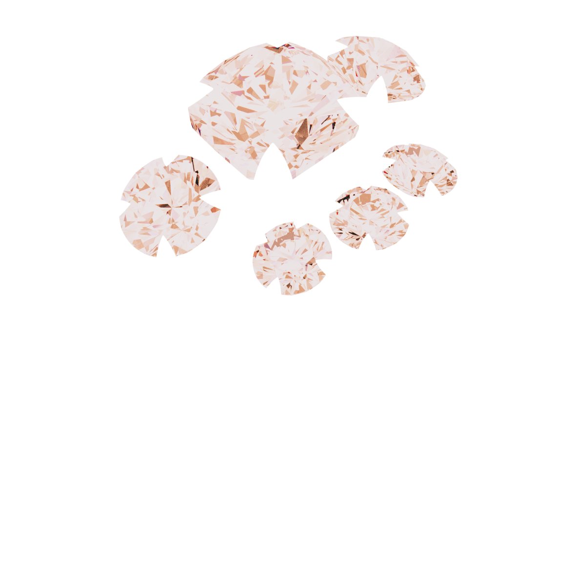 Product Variant Image
