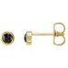 14K Yellow 1/5 CTW Rose-Cut Natural Black Diamond Bezel-Set Earrings