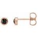14K Rose 1/5 CTW Rose-Cut Natural Black Diamond Bezel-Set Earrings