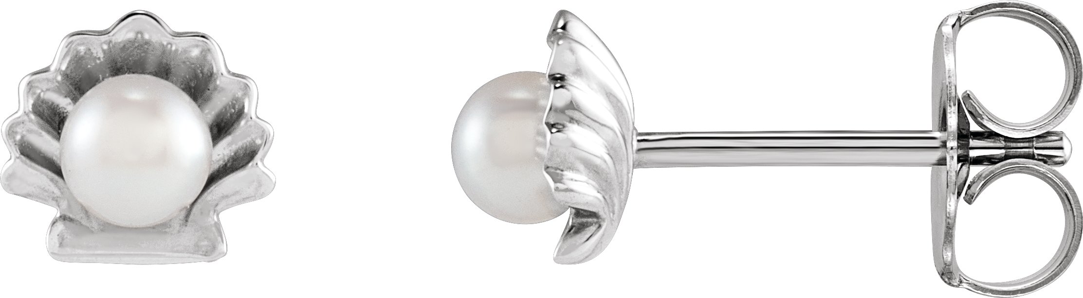 Platinum Cultured White Seed Pearl Shell Earrings Ref 19671047