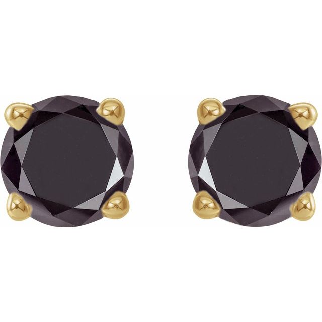 14K Yellow 1/2 CTW Natural Black Diamond Stud Earring with Friction Post
