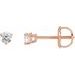 14K Rose .03 CTW Natural Diamond Earrings