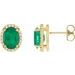 14K Yellow Lab-Grown Emerald & .04 CTW Natural Diamond Halo-Style Earrings