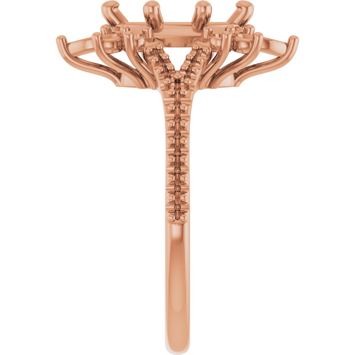 Product Variant Image