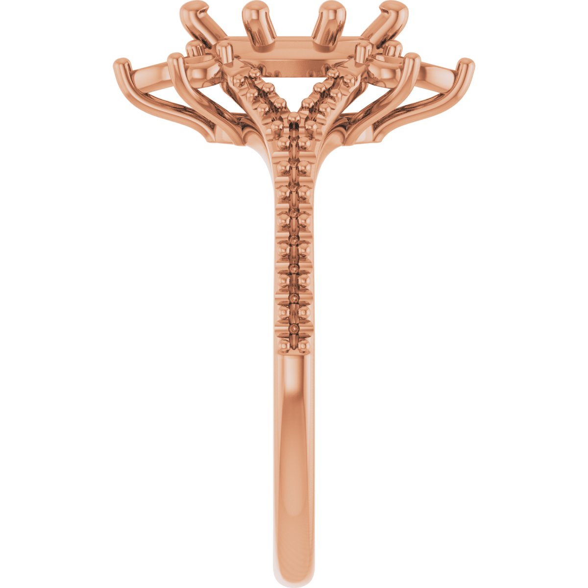 Product Variant Image