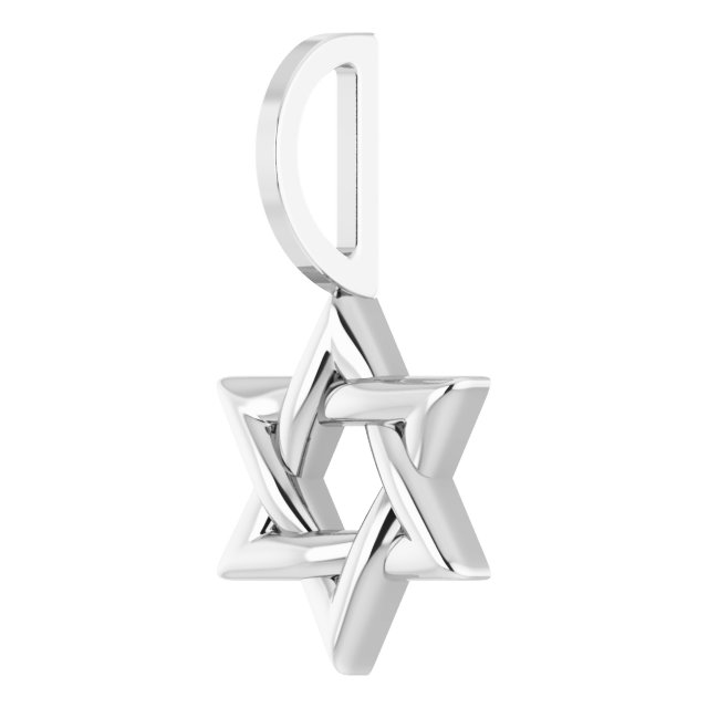 14K White 19.55x12 mm Star of David Pendant/Charm