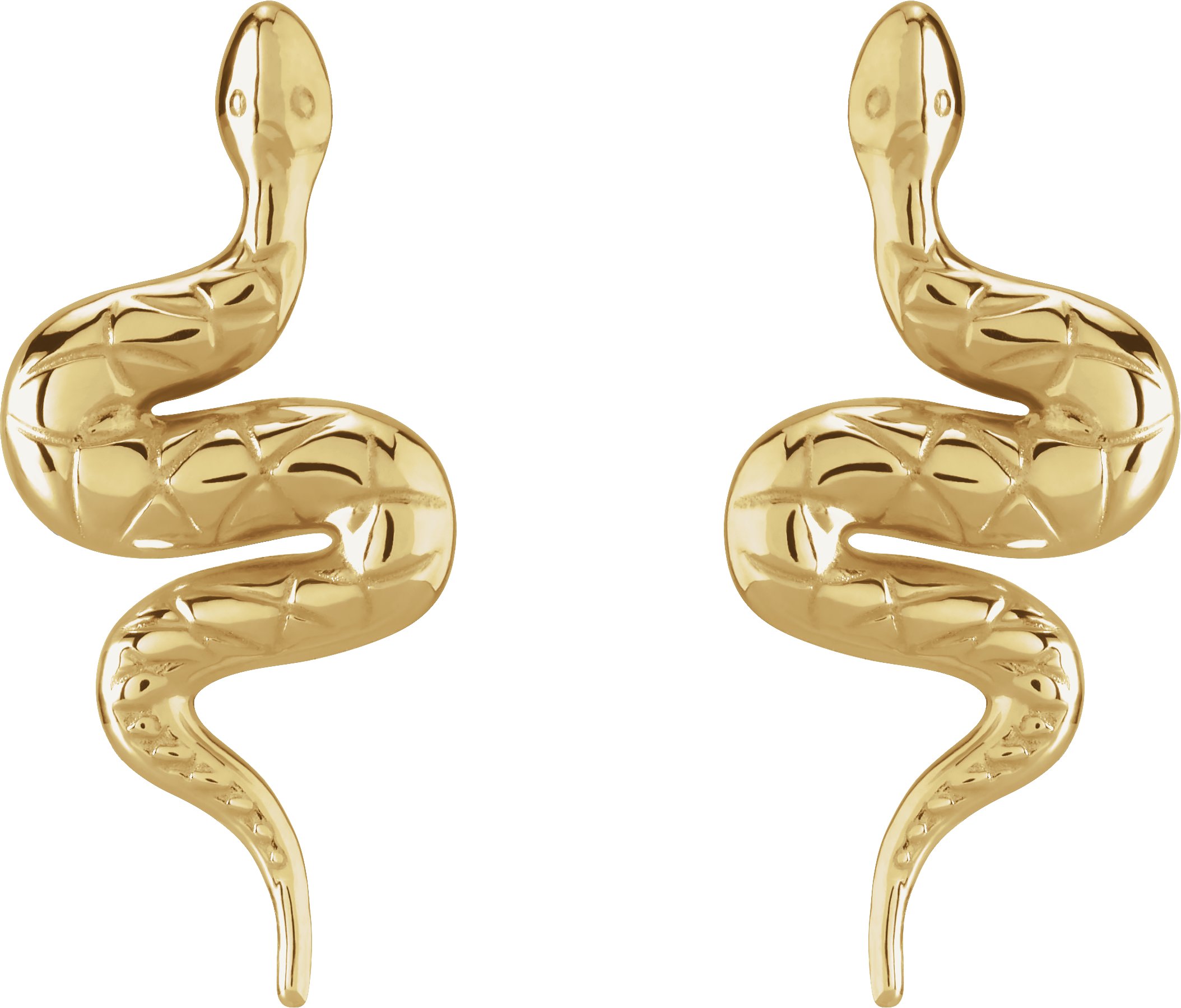 14K Yellow Pair Snake Friction Back Earring