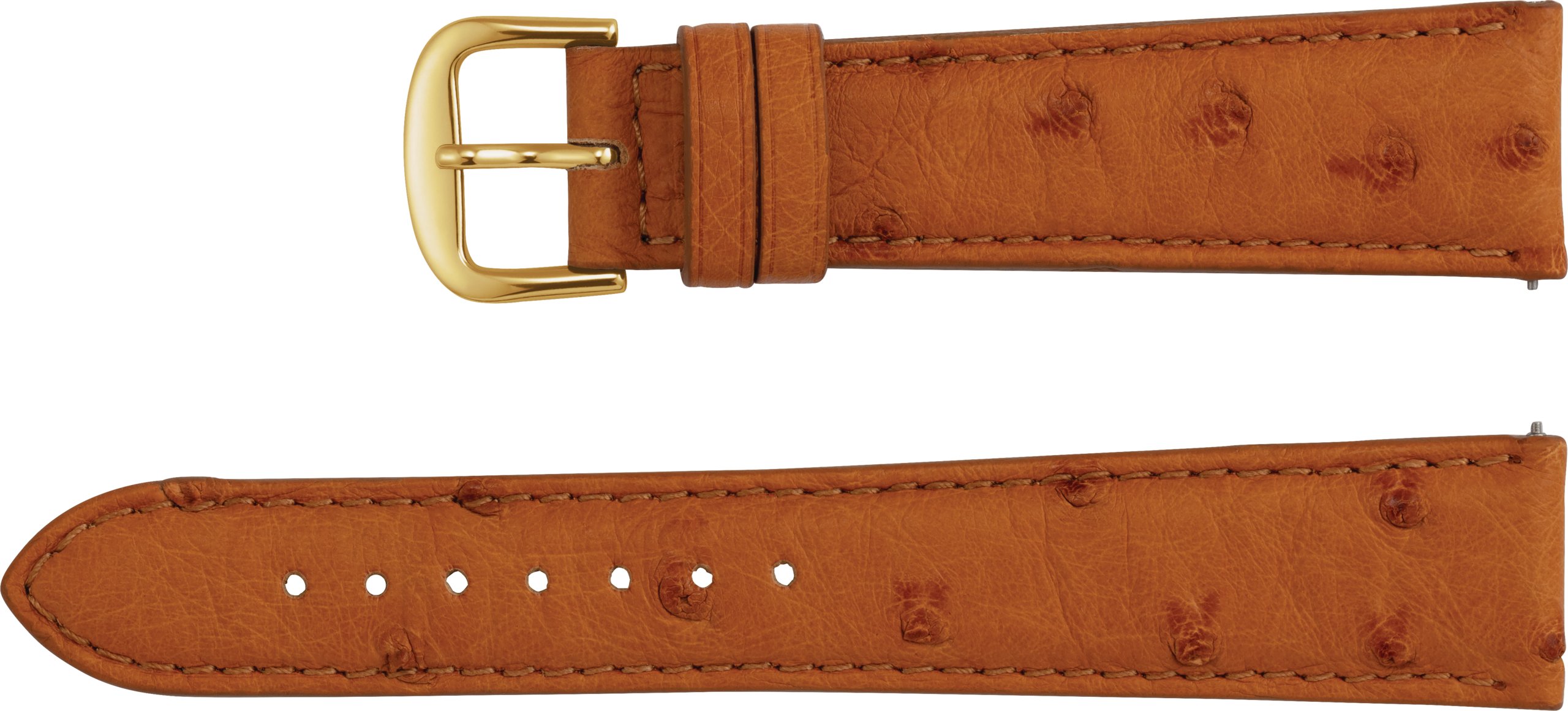 Men's Genuine Ostrich Padded Watch Band