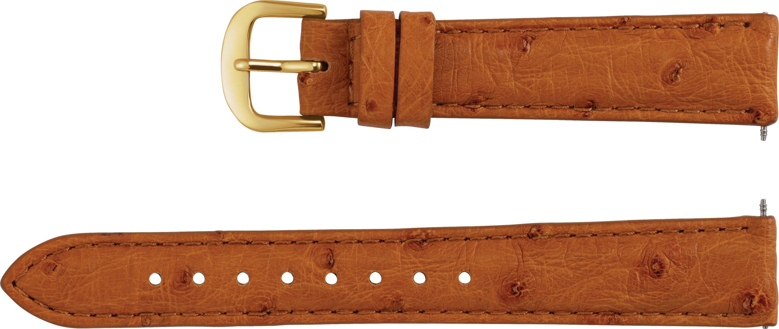 Men's Genuine Ostrich Padded Watch Band