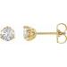 14K Yellow 3/8 CTW Natural Diamond Fleur-de-Lis Earrings