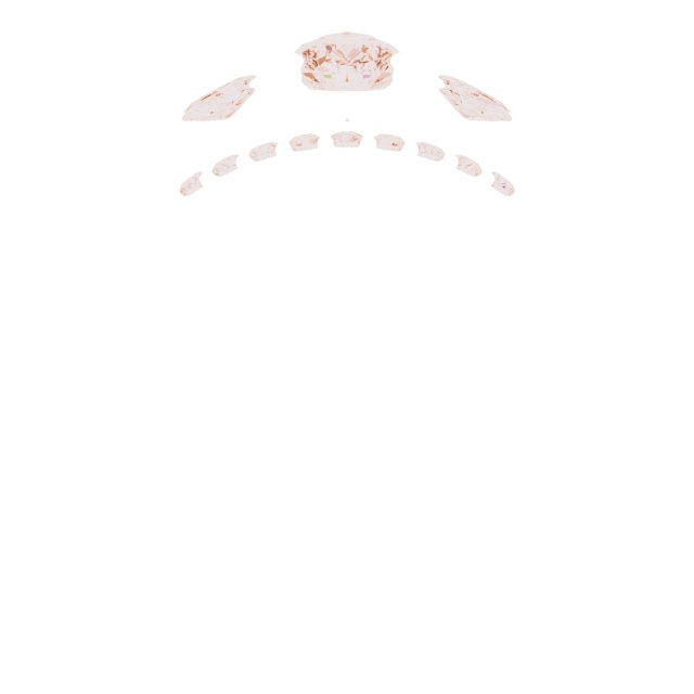 Product Variant Image