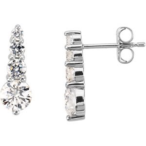 Platinum 1 CTW Natural Diamond Journey Earrings