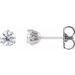 Platinum 1/3 CTW Natural Diamond Scroll Earrings