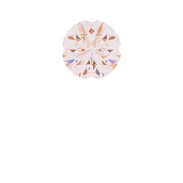 Accented Earring Top