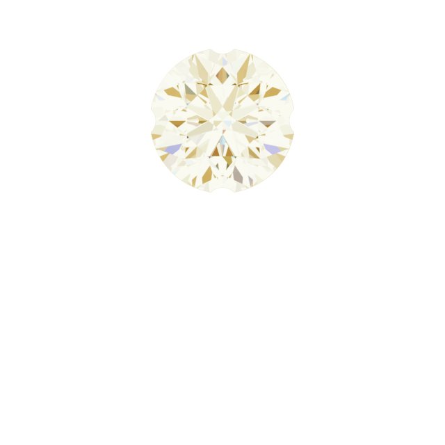 Accented Earring Top