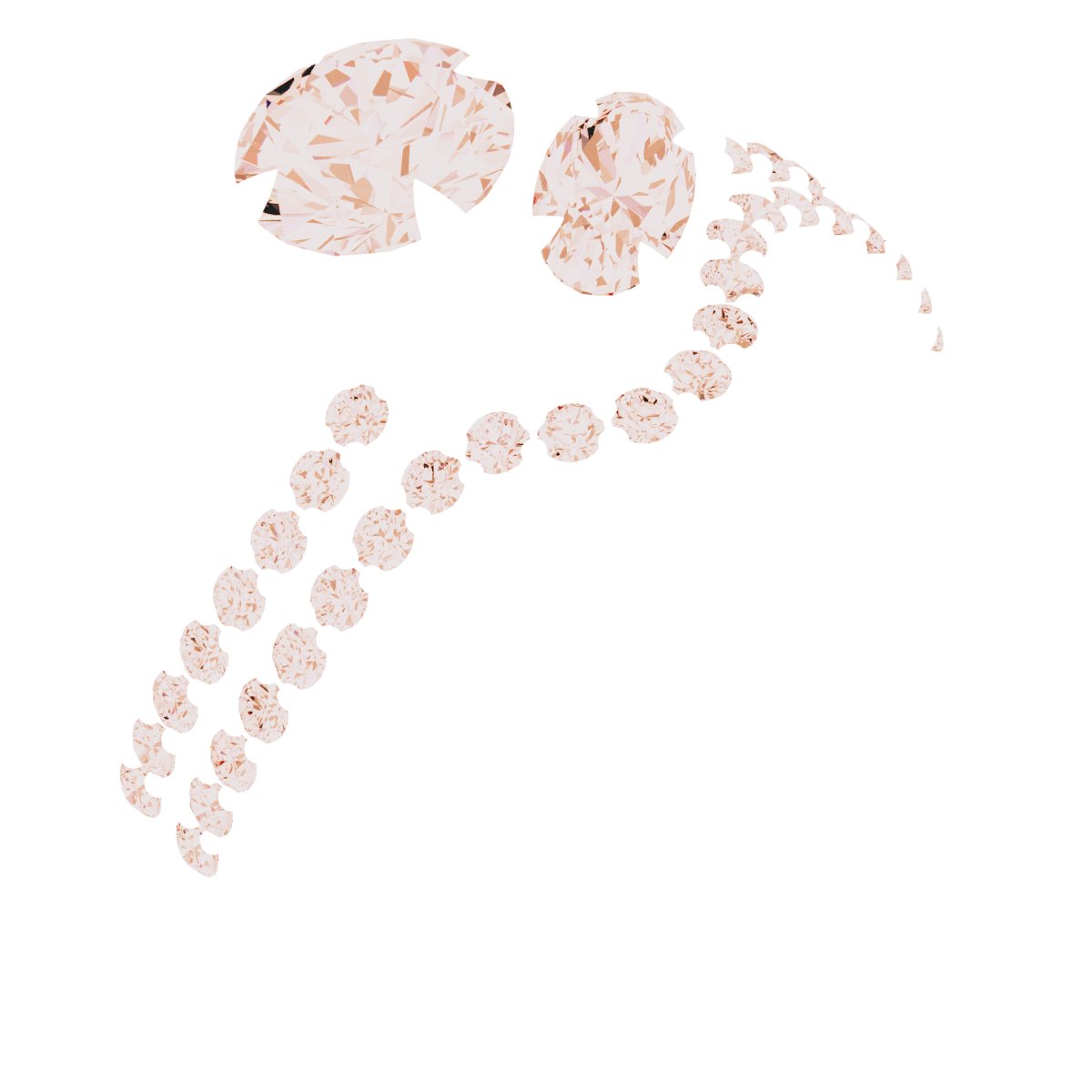 Product Variant Image