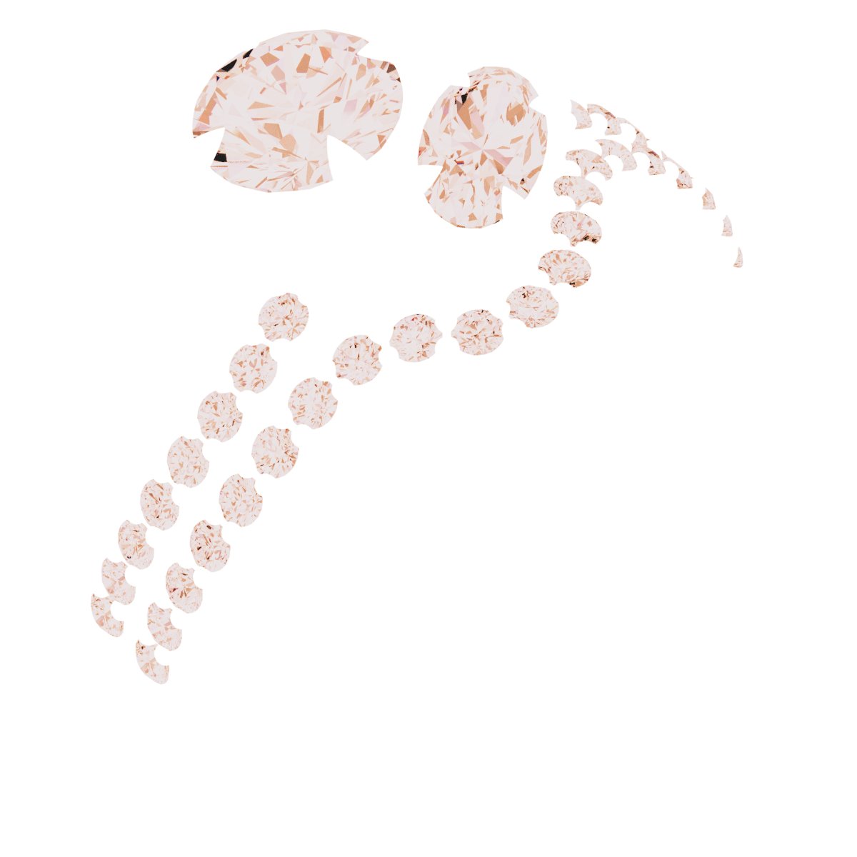 Product Variant Image
