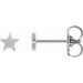Platinum 4 mm Star Friction Post & Back Earrings
