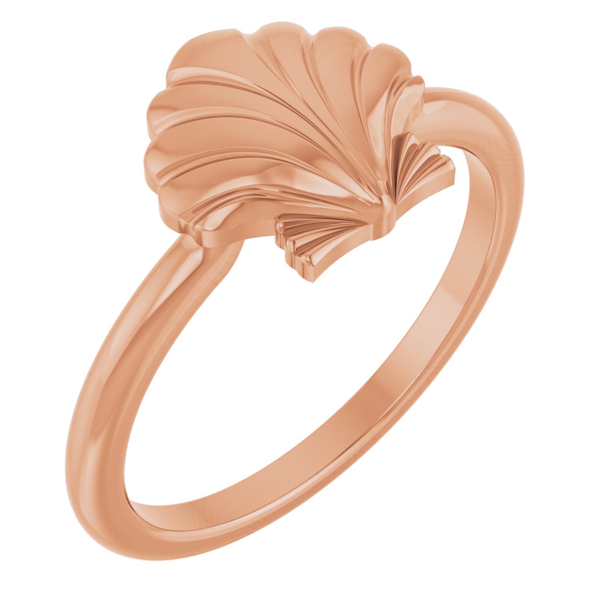 Shell Ring