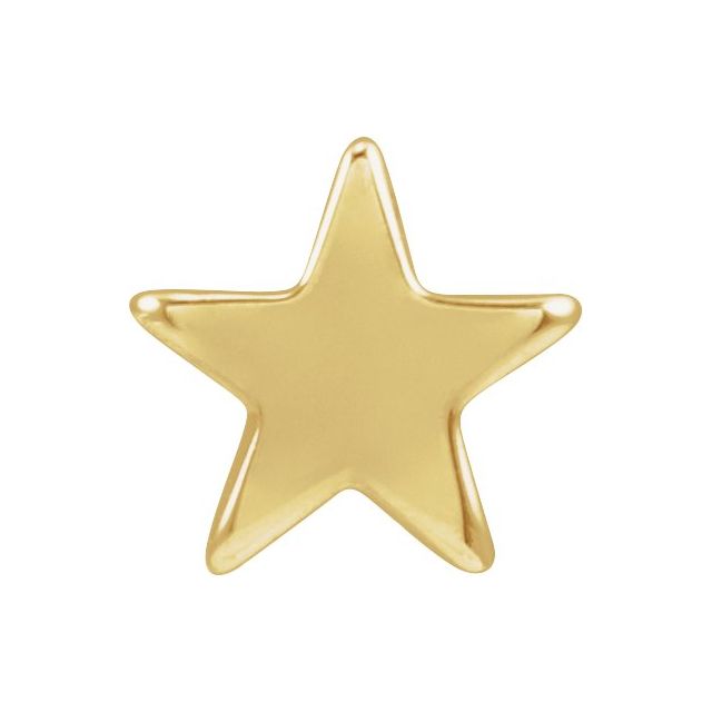 14K Yellow 4 mm Star Friction Post Earring