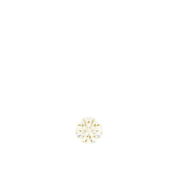 Accented Zodiac Dangle