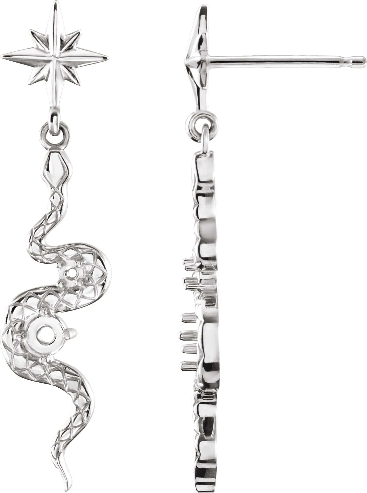 Accented Snake Earrings