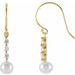 14K Yellow Cultured White Freshwater Pearl & 1/4 CTW Natural Diamond Earrings