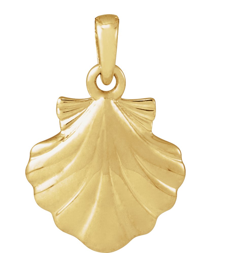 Shell Necklace or Pendant