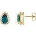 14K Yellow Lab-Grown Alexandrite & 1/10 CTW Natural Diamond Halo-Style Earrings