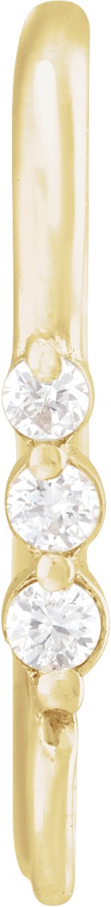Graduated Accented Earring Top