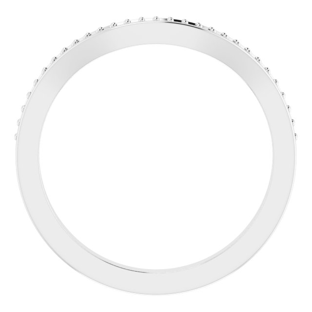 Band Mounting view 2