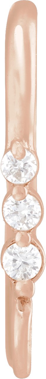 Graduated Accented Earring Top