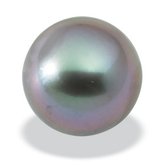 Button Grey Tahitian Cultured Pearls