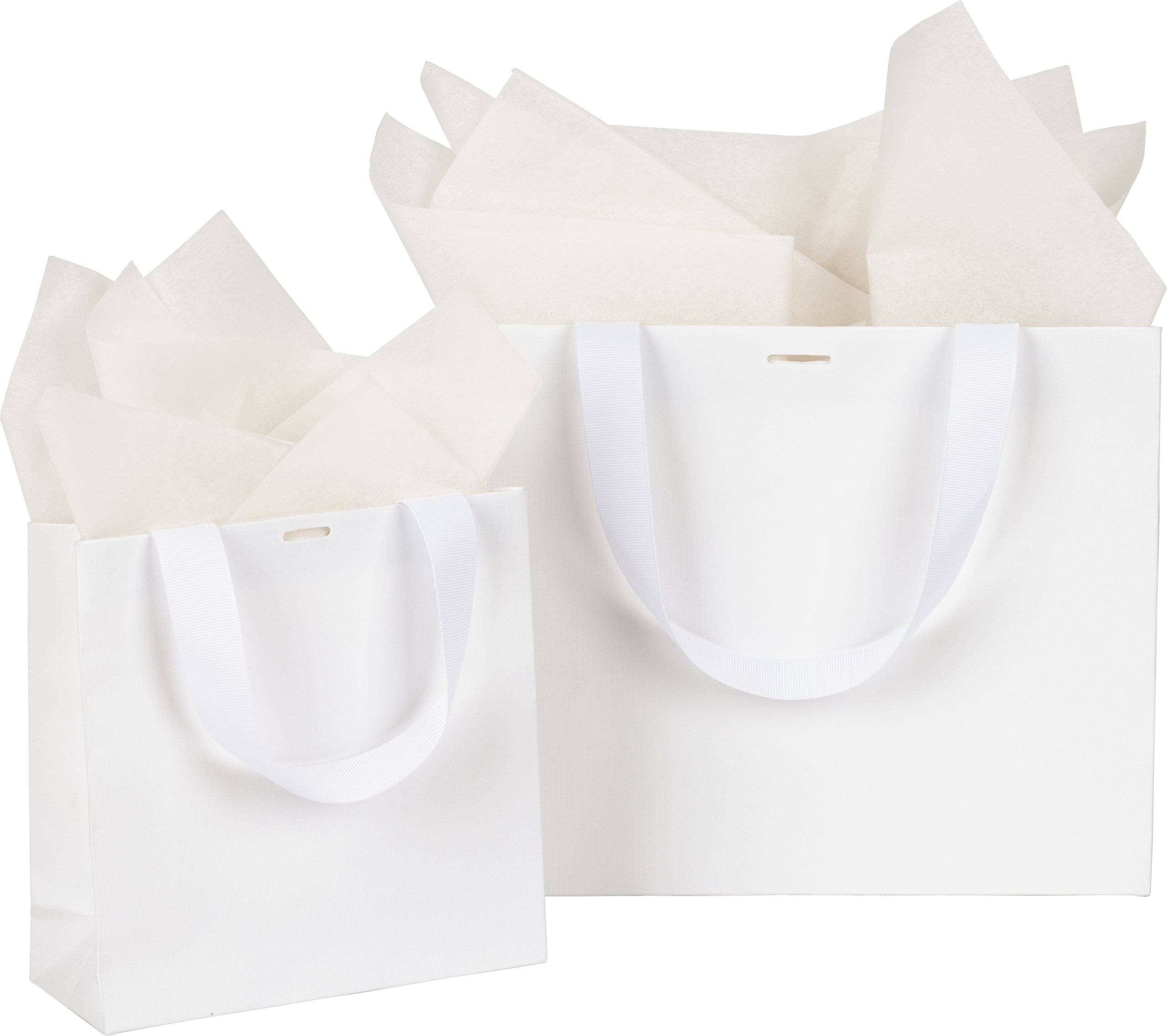 Ribbon Handle Collection Textured Paper Gift Bags