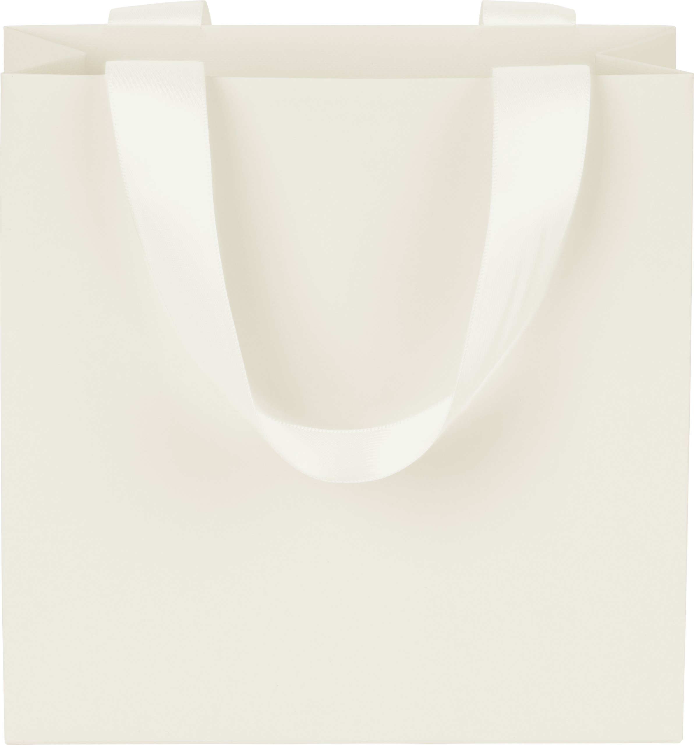 Ribbon Handle Collection Textured Paper Gift Bags