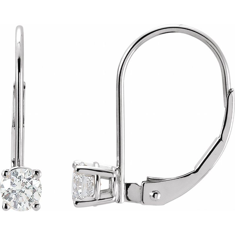 Round Lever Back Earrings