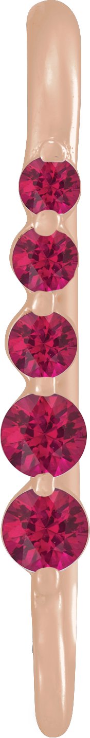 Graduated Accented Earring Top