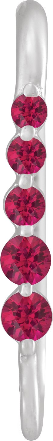 Graduated Accented Earring Top