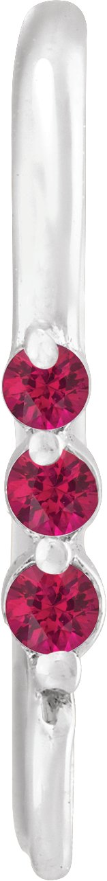 Graduated Accented Earring Top
