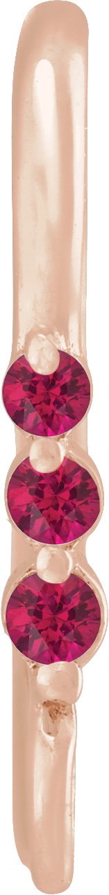 Graduated Accented Earring Top