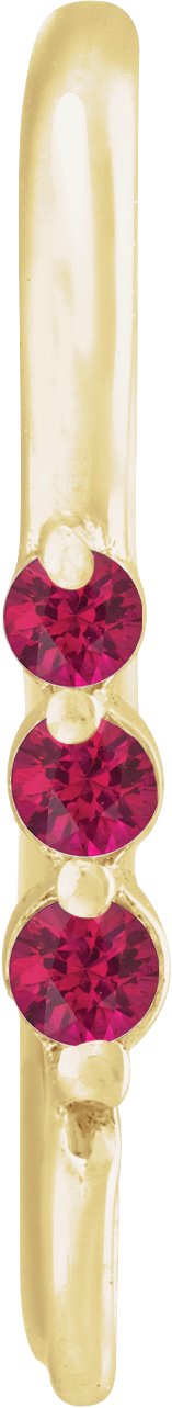 Graduated Accented Earring Top