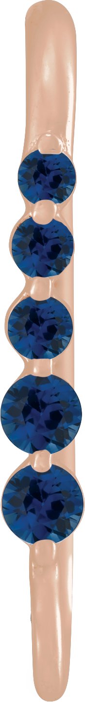 Graduated Accented Earring Top