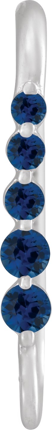 Graduated Accented Earring Top