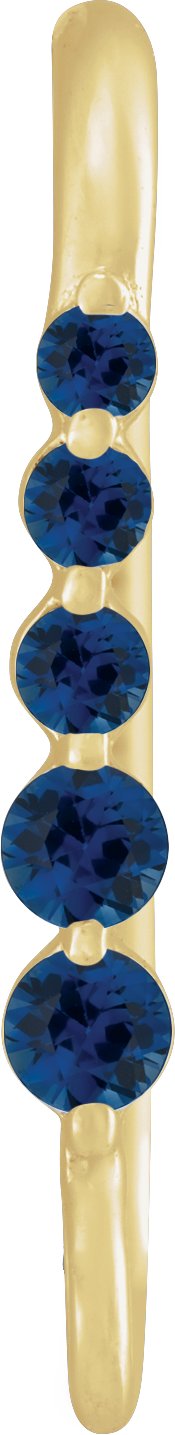 Graduated Accented Earring Top