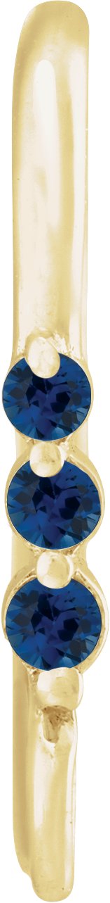 Graduated Accented Earring Top
