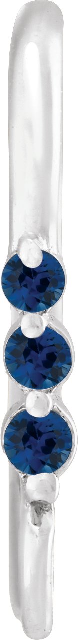 Graduated Accented Earring Top